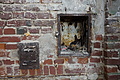 DSC02424 - Bernhard Saalfeld