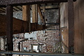 DSC02429 - Bernhard Saalfeld