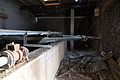 DSC02433 - Bernhard Saalfeld