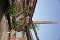 DSC02435 - Bernhard Saalfeld