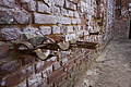 DSC02436 - Bernhard Saalfeld