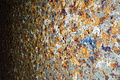 DSC02440 - Bernhard Saalfeld
