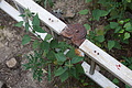 DSC02458 - Bernhard Saalfeld