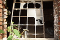 DSC02460 - Bernhard Saalfeld