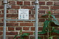 DSC02462 - Bernhard Saalfeld