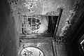 L1002504 - Bernhard Saalfeld