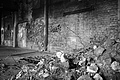 L1002505 - Bernhard Saalfeld