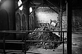 L1002506 - Bernhard Saalfeld