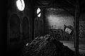L1002507 - Bernhard Saalfeld