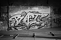 L1002509 - Bernhard Saalfeld