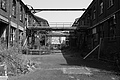 L1002511 - Bernhard Saalfeld