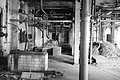 L1002512 - Bernhard Saalfeld