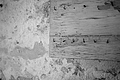 L1002520 - Bernhard Saalfeld
