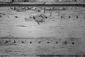 L1002522 - Bernhard Saalfeld