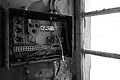 L1002527 - Bernhard Saalfeld