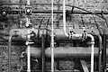 L1002537 - Bernhard Saalfeld