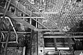 L1002543 - Bernhard Saalfeld