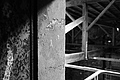 L1002554 - Bernhard Saalfeld