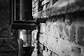 L1002557 - Bernhard Saalfeld