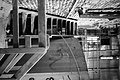 L1002558 - Bernhard Saalfeld