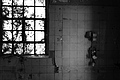 L1002560 - Bernhard Saalfeld