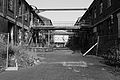 L1002578 - Bernhard Saalfeld