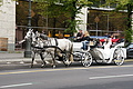DSC00493 - Bernhard Saalfeld
