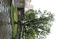 DSC00501 - Bernhard Saalfeld