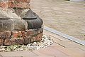 DSC00524 - Bernhard Saalfeld