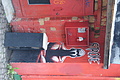 DSC00632 - Bernhard Saalfeld
