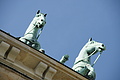 DSC00952 - Bernhard Saalfeld