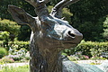 DSC00476 - Bernhard Saalfeld