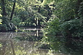 DSC00481 - Bernhard Saalfeld