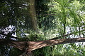 DSC00483 - Bernhard Saalfeld