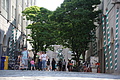 DSC00684 - Bernhard Saalfeld