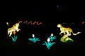 DSC00279 - Bernhard Saalfeld