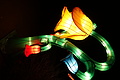 DSC00283 - Bernhard Saalfeld