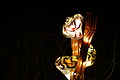 DSC00293 - Bernhard Saalfeld
