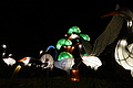 DSC00301 - Bernhard Saalfeld