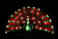 DSC00302 - Bernhard Saalfeld