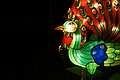 DSC00303 - Bernhard Saalfeld