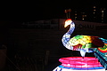 DSC00304 - Bernhard Saalfeld