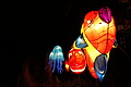 DSC00321 - Bernhard Saalfeld