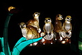 DSC00324 - Bernhard Saalfeld