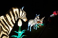 DSC00339 - Bernhard Saalfeld