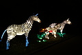 DSC00340 - Bernhard Saalfeld