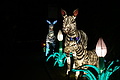DSC00341 - Bernhard Saalfeld