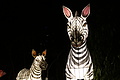 DSC00343 - Bernhard Saalfeld