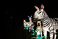 DSC00344 - Bernhard Saalfeld