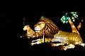 DSC00358 - Bernhard Saalfeld